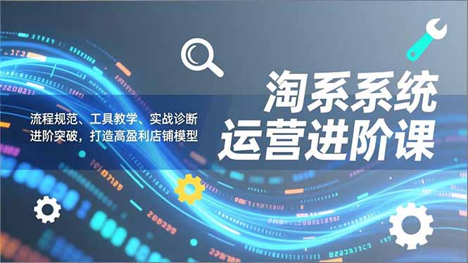 淘系系统运营进阶课2.0，流程规范、工具教学、实战诊断，进阶突破，打造高盈利店铺模型-一个小目标资源站