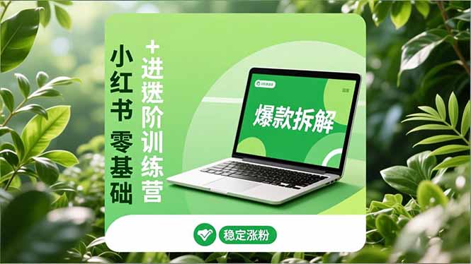 小红书零基础+高阶训练营:安全养号、爆款拆解、长效运营,实现稳定涨粉与变现-opc资源站