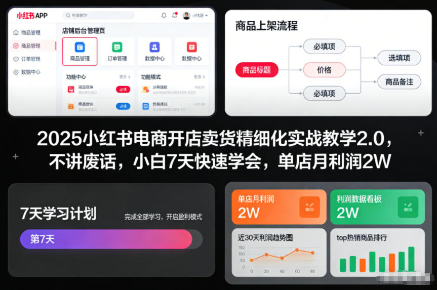 2025小红书电商开店卖货精细化实战教学2.0，不讲废话，小白7天快速学会，单店月利润2W-一个小目标资源站