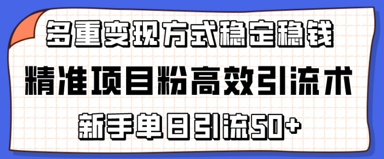 精准项目粉高效引流术,新手单日引流50+,多重变现方式稳定赚钱-opc资源站