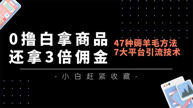 0撸白拿商品，还拿3倍佣金，47种薅羊毛方法，7大平台全方位引流技术教学，精专月入过万-一个小目标资源站