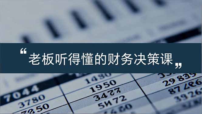 老板能听得懂的财务决策课，报表解读、数据洞察、风险识别，用财务驱动业务增长-一个小目标资源站