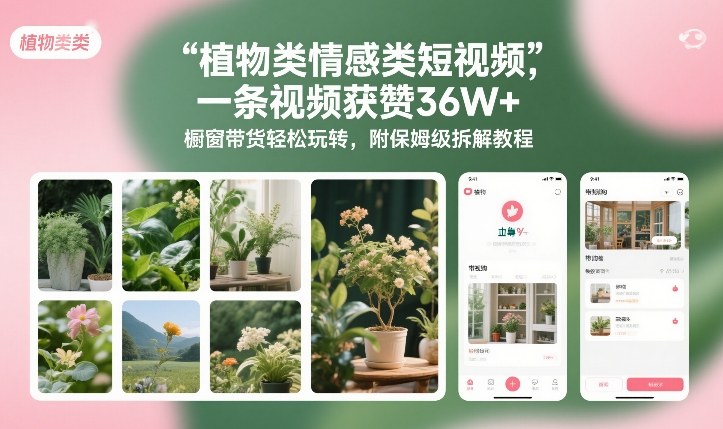 植物类情感类短视频,一条视频获赞36W+,橱窗带货轻松玩转,附保姆级拆解教程-opc资源站