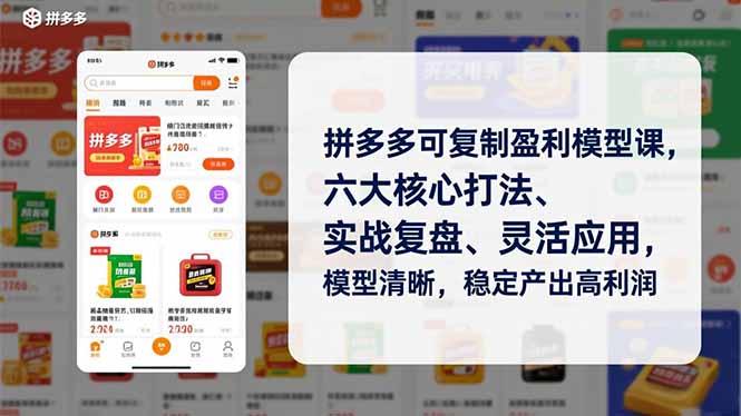 拼多多可复制盈利模型课,六大核心打法、实战复盘、灵活应用,模型清晰,稳定产出高利润-一个小目标资源站