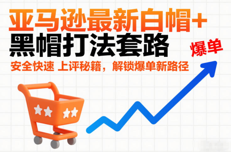 亚马逊最新白帽+黑帽打法套路,安全快速上评秘籍,解锁爆单新路径-一个小目标资源站