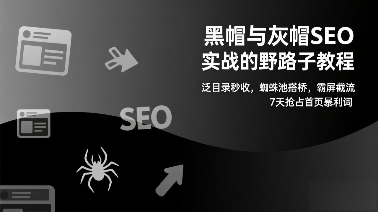 黑帽与灰帽SEO实战的野路子教程:泛目录秒收,蜘蛛池搭桥,霸屏截流,7天抢占首页暴利词-一个小目标资源站