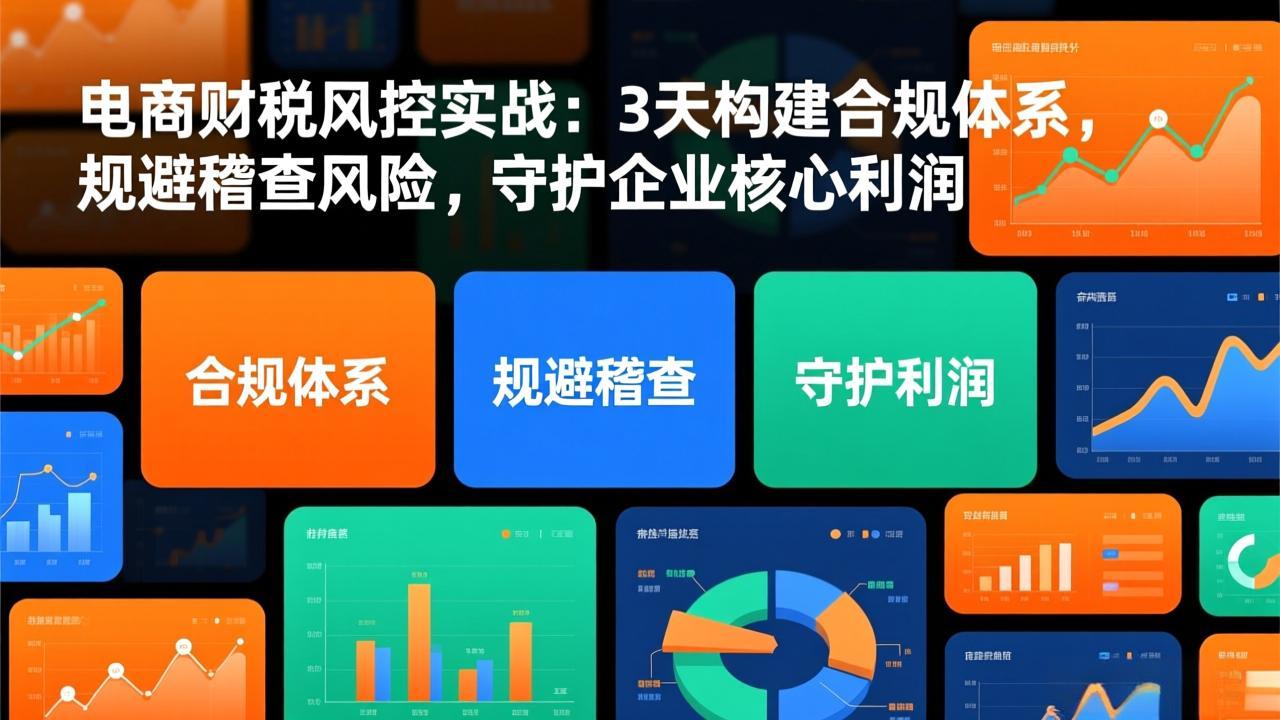 电商财税风控实战：3天构建合规体系，规避稽查风险，守护企业核心利润-opc资源站