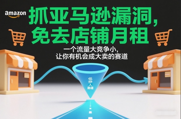 抓亚马逊漏洞，免去店铺月租，一个流量大竞争小，让你有机会成大卖的赛道-一个小目标资源站